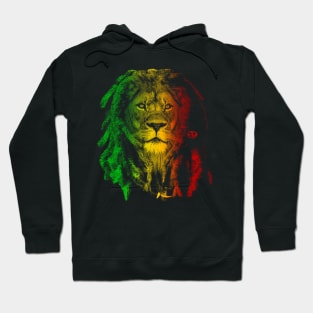 I AINT LION Hoodie